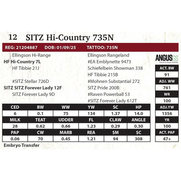SITZ Hi-Country 735N