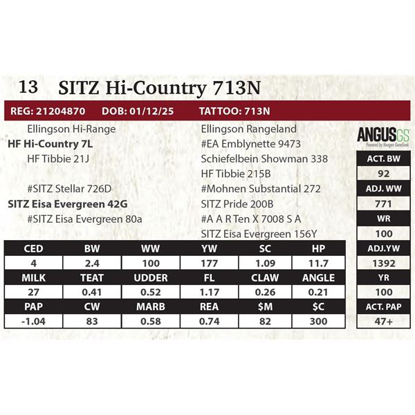 SITZ Hi-Country 713N