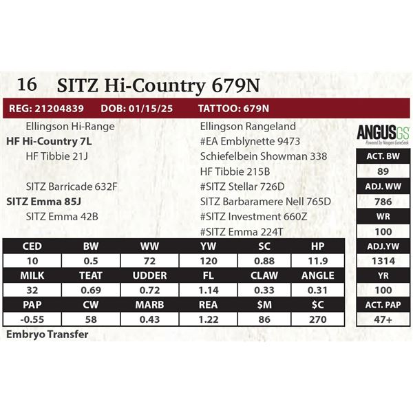 SITZ Hi-Country 679N