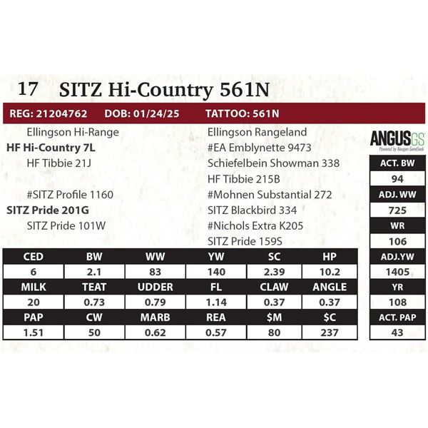 SITZ Hi-Country 561N