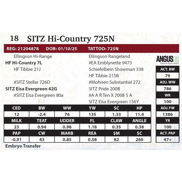 SITZ Hi-Country 725N