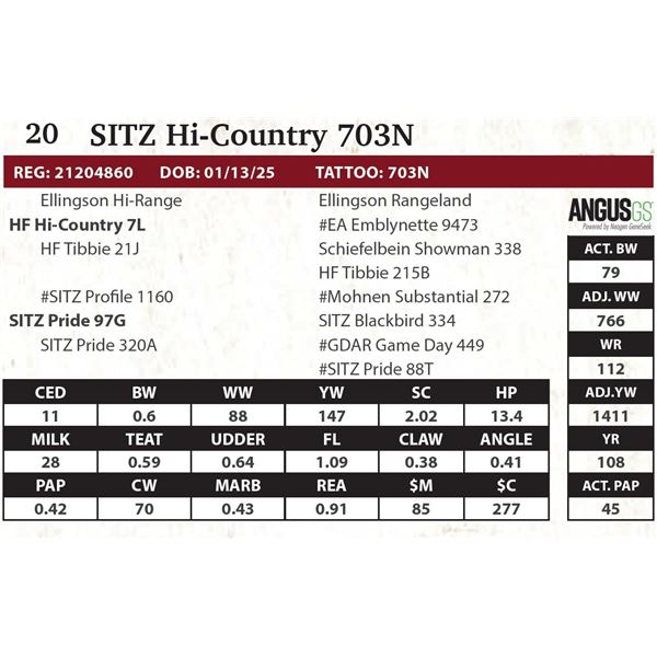 SITZ Hi-Country 703N