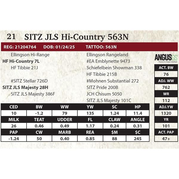 SITZ JLS Hi-Country 563N