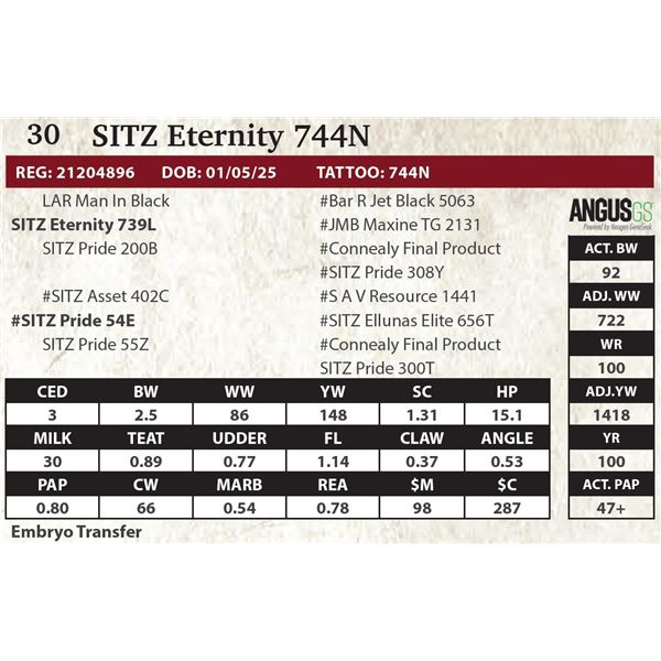 SITZ Eternity 744N