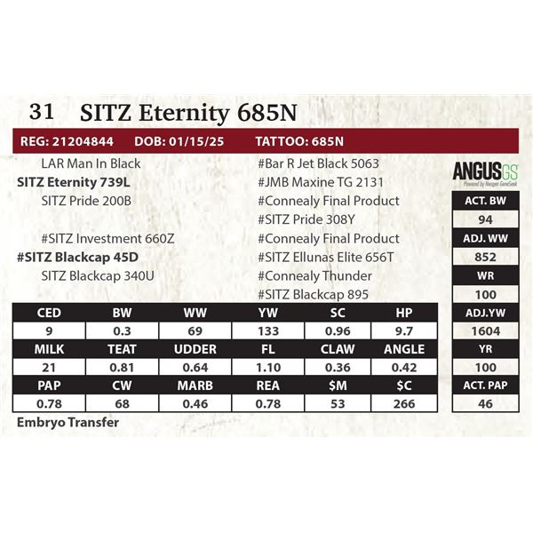 SITZ Eternity 685N