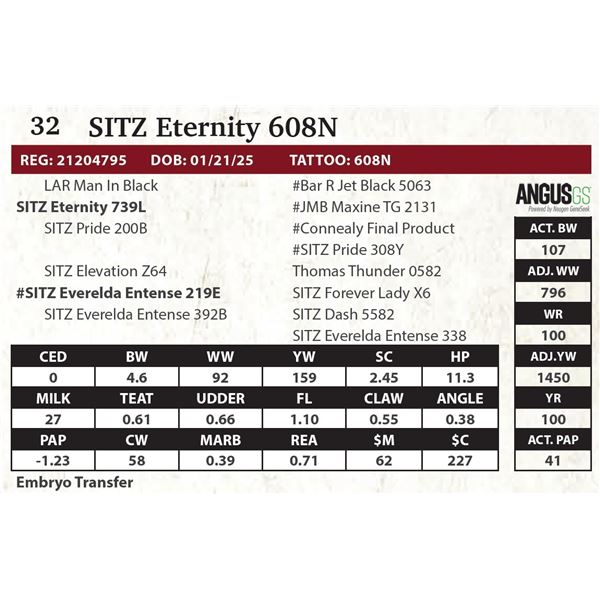 SITZ Eternity 608N