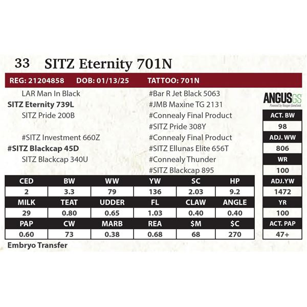 SITZ Eternity 701N