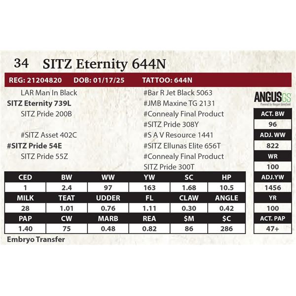 SITZ Eternity 644N