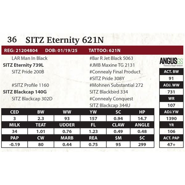 SITZ Eternity 621N
