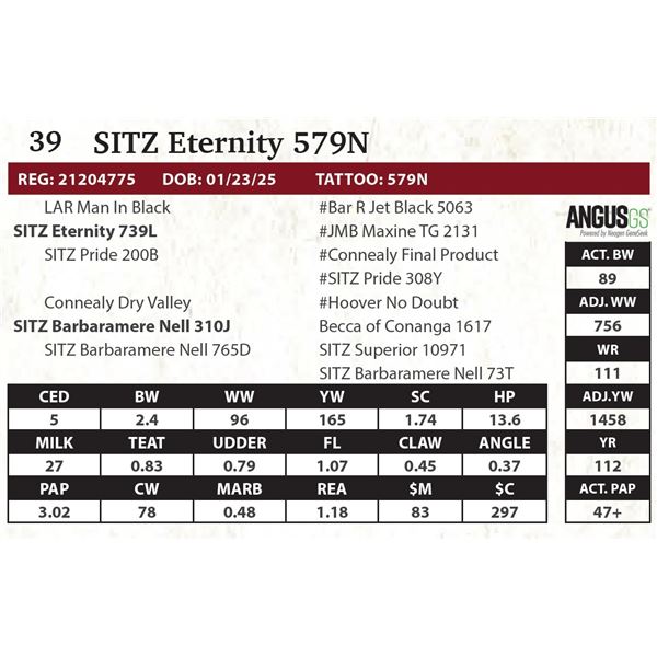 SITZ Eternity 579N