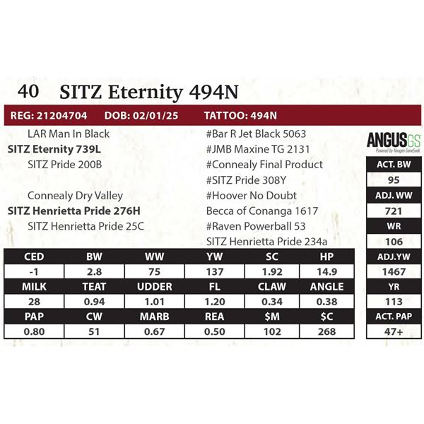 SITZ Eternity 494N