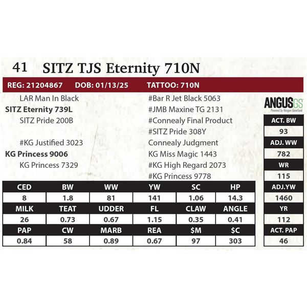 SITZ TJS Eternity 710N