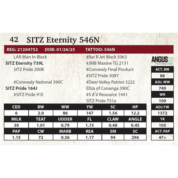 SITZ Eternity 546N