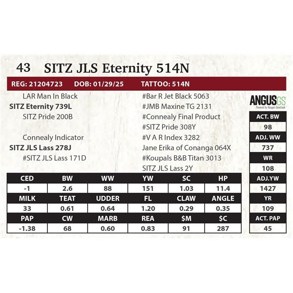 SITZ JLS Eternity 514N