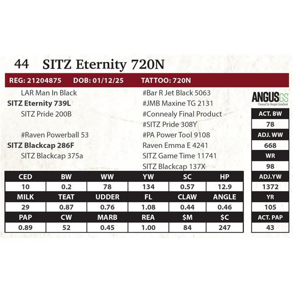 SITZ Eternity 720N
