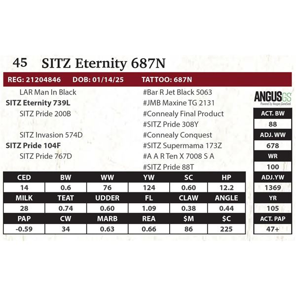 SITZ Eternity 687N