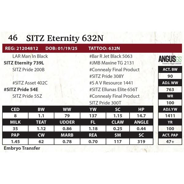 SITZ Eternity 632N
