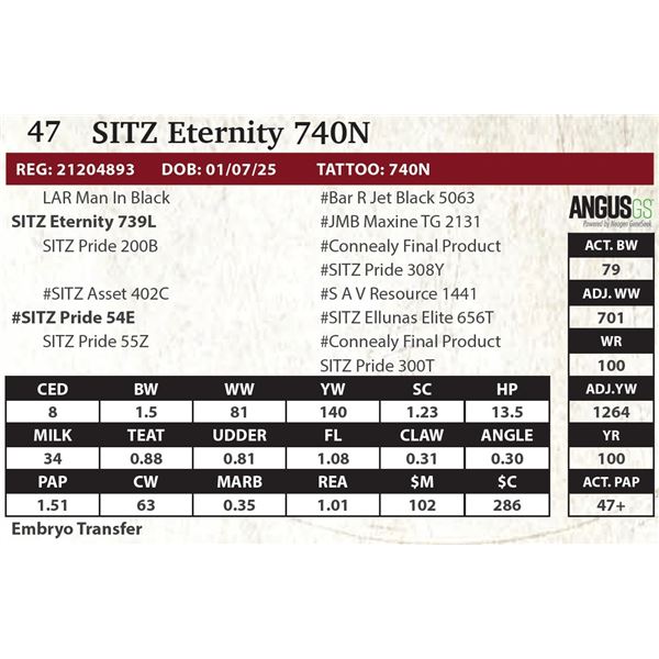 SITZ Eternity 740N