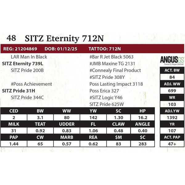 SITZ Eternity 712N