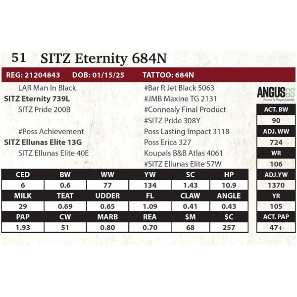 SITZ Eternity 684N