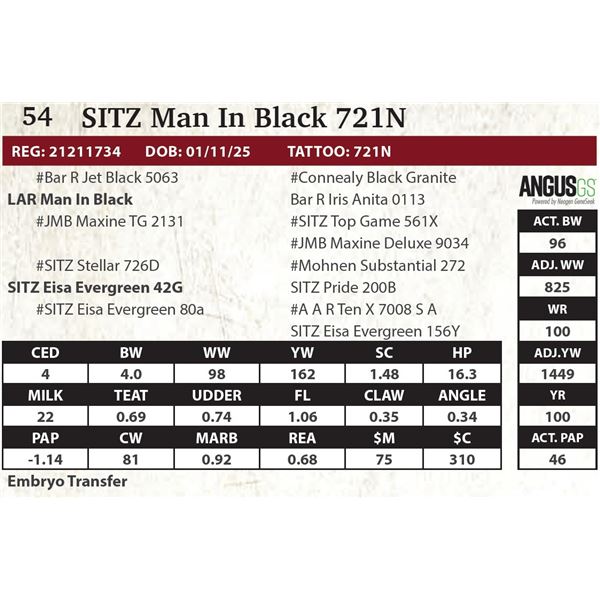 SITZ Man In Black 721N