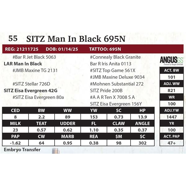 SITZ Man In Black 695N