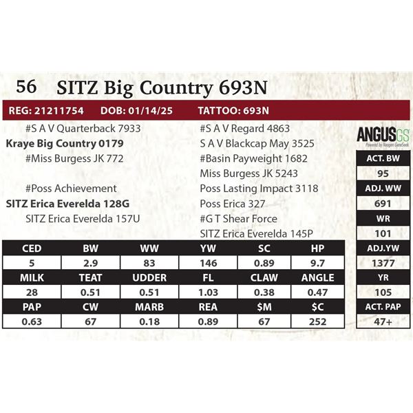 SITZ Big Country 693N