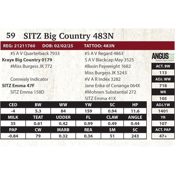 SITZ Big Country 483N