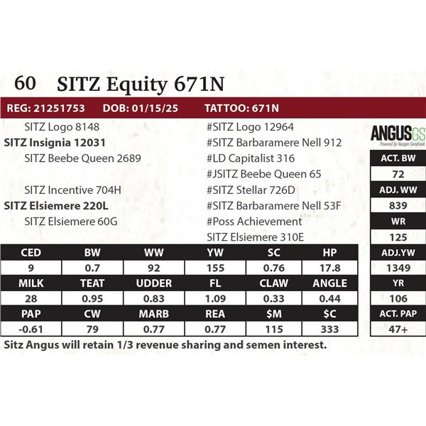 SITZ Insignia 671N