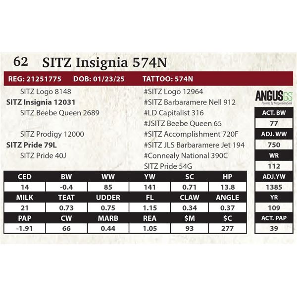 SITZ Insignia 574N