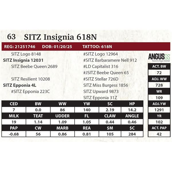 SITZ Insignia 618N