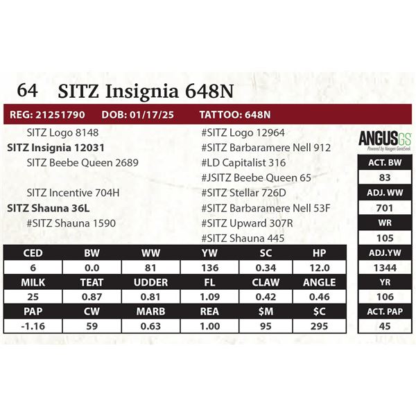 SITZ Insignia 648N