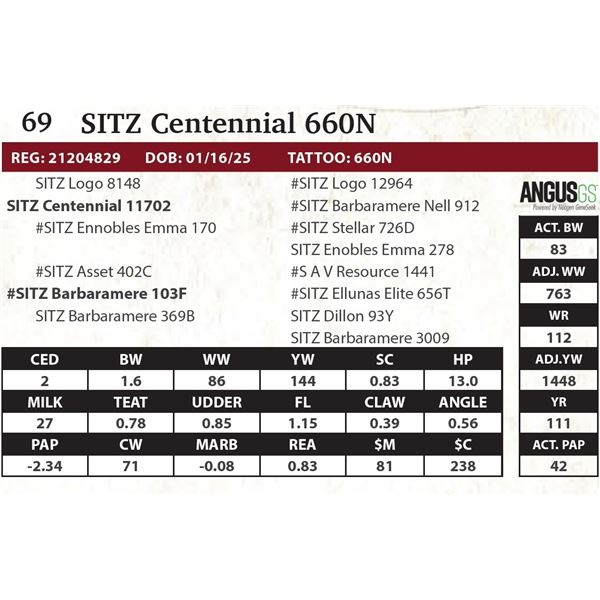 SITZ Centennial 660N