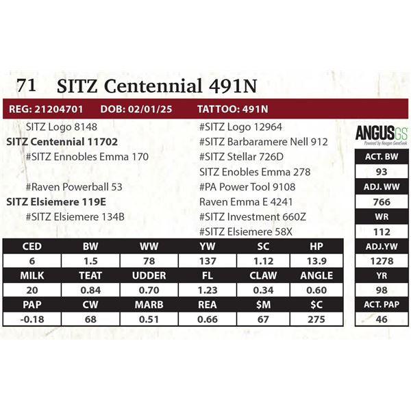 SITZ Centennial 491N