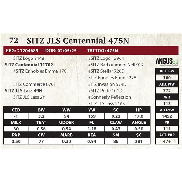 SITZ JLS Centennial 475N