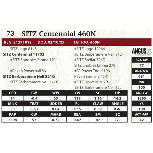 SITZ Centennial 460N