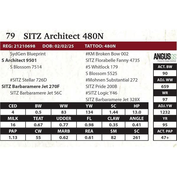 SITZ Architect 480N