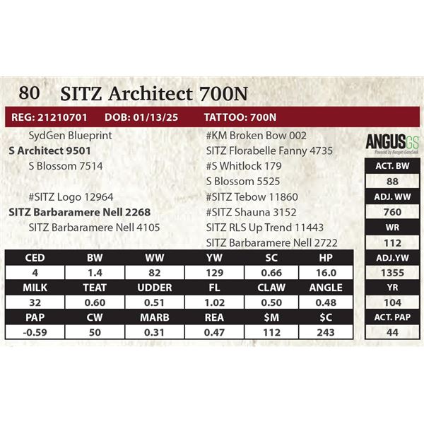 SITZ Architect 700N