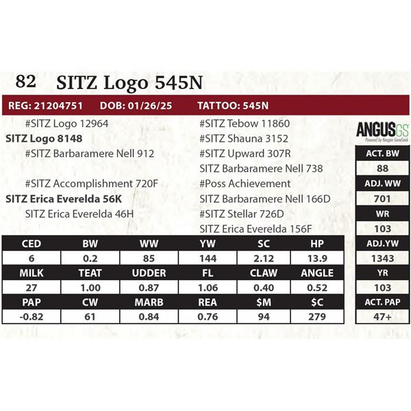 SITZ Logo 545N