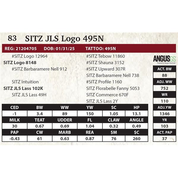 SITZ JLS Logo 495N