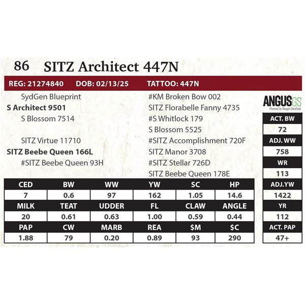 SITZ Architect 447N