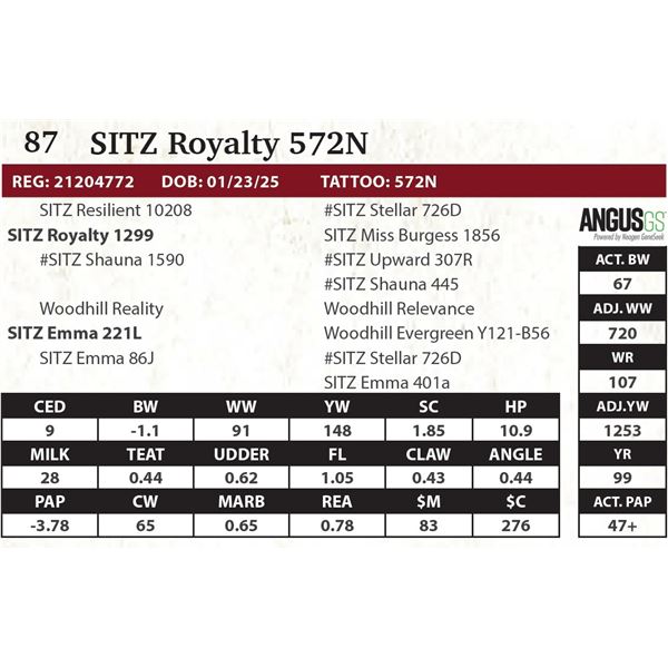 SITZ Royalty 572N