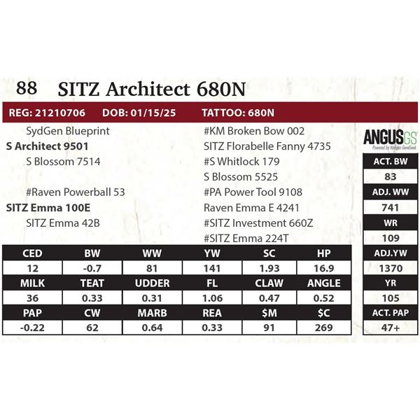 SITZ Architect 680N