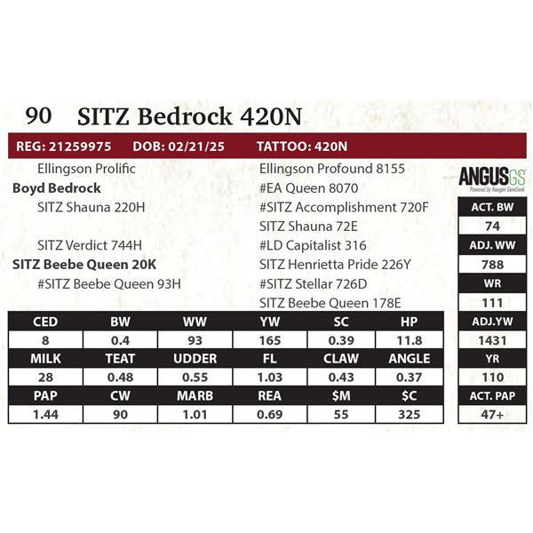 SITZ Bedrock 420N