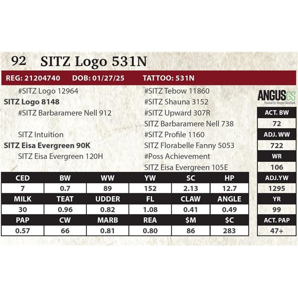 SITZ Logo 531N