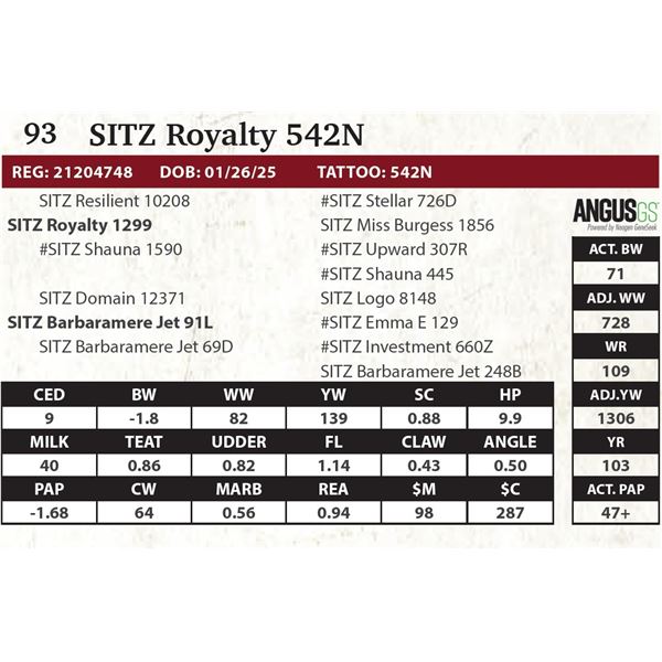SITZ Royalty 542N