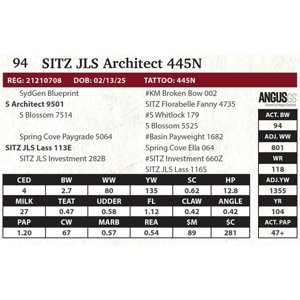 SITZ JLS Architect 445N