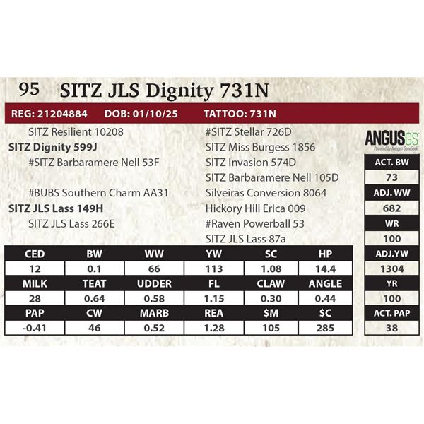 SITZ JLS Dignity 731N