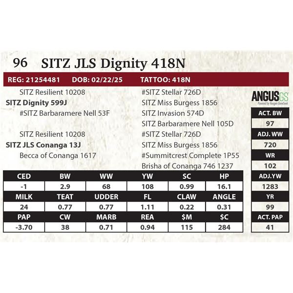 SITZ JLS Dignity 418N