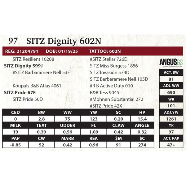 SITZ Dignity 602N
